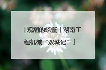 观潮的螃蟹丨湖南工程机械“双城记”