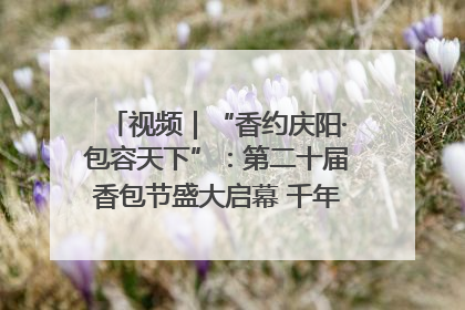 视频｜“香约庆阳·包容天下”：第二十届香包节盛大启幕 千年非遗香飘世界