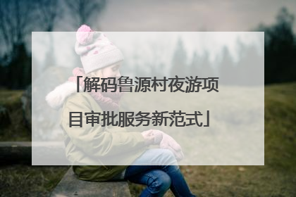 解码鲁源村夜游项目审批服务新范式