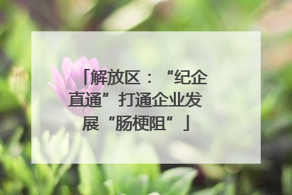 解放区：“纪企直通”打通企业发展“肠梗阻”