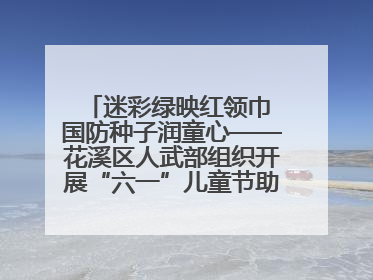 迷彩绿映红领巾 国防种子润童心——花溪区人武部组织开展“六一”儿童节助学兴教活动