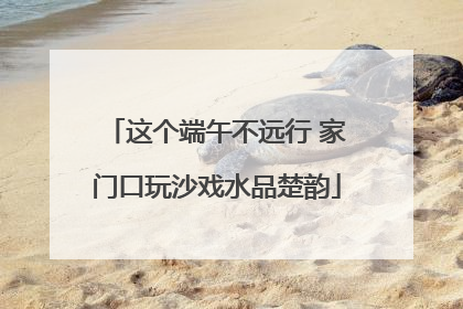 这个端午不远行 家门口玩沙戏水品楚韵