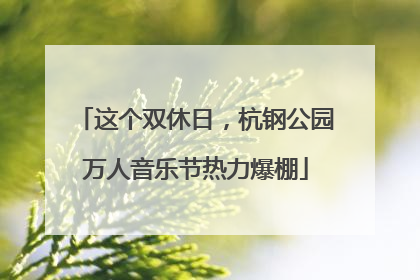 这个双休日，杭钢公园万人音乐节热力爆棚