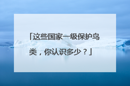 这些国家一级保护鸟类，你认识多少？