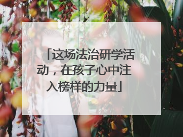 这场法治研学活动，在孩子心中注入榜样的力量