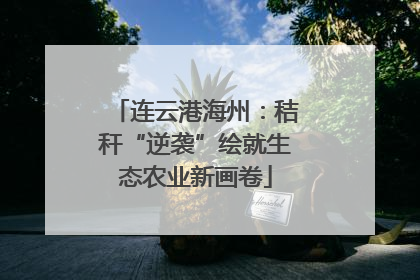 连云港海州：秸秆“逆袭”绘就生态农业新画卷