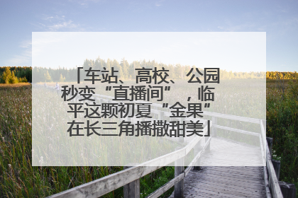 车站、高校、公园秒变“直播间”，临平这颗初夏“金果”在长三角播撒甜美