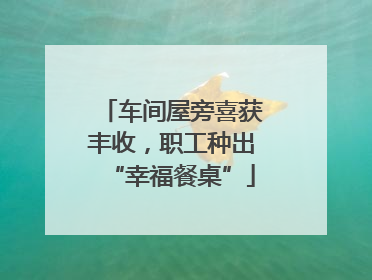 车间屋旁喜获丰收，职工种出“幸福餐桌”