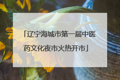 辽宁海城市第一届中医药文化夜市火热开市