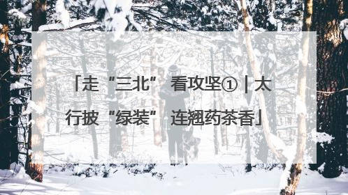 走“三北” 看攻坚①｜太行披“绿装” 连翘药茶香