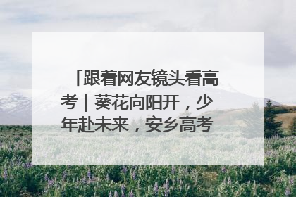 跟着网友镜头看高考｜葵花向阳开，少年赴未来，安乡高考首日的希望图景