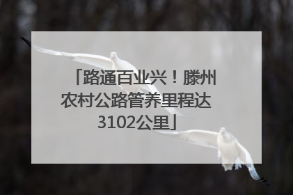 路通百业兴！滕州农村公路管养里程达3102公里