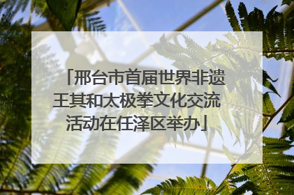 邢台市首届世界非遗王其和太极拳文化交流活动在任泽区举办