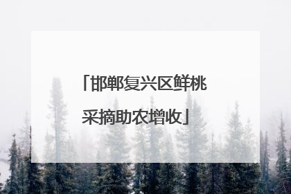 邯郸复兴区鲜桃采摘助农增收