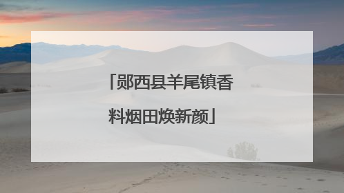 郧西县羊尾镇香料烟田焕新颜