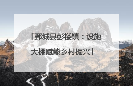 鄄城县彭楼镇：设施大棚赋能乡村振兴