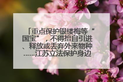 重点保护银缕梅等“国宝”，不得擅自引进、释放或丢弃外来物种……江苏立法保护身边的生物“朋友圈”