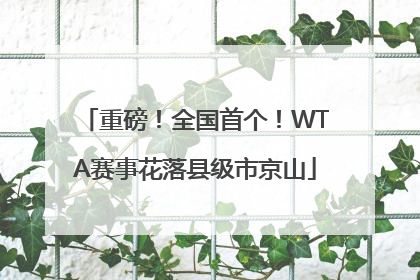 重磅！全国首个！WTA赛事花落县级市京山