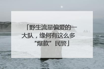 野生流量偏爱的一大队，缘何有这么多“爆款”民警
