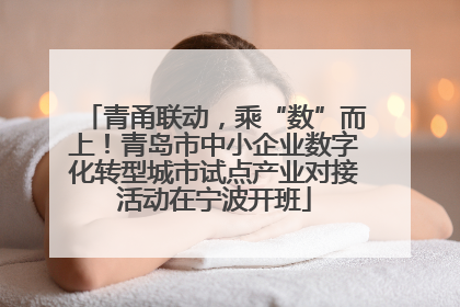 青甬联动，乘“数”而上！青岛市中小企业数字化转型城市试点产业对接活动在宁波开班