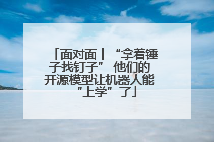 面对面丨“拿着锤子找钉子” 他们的开源模型让机器人能“上学”了