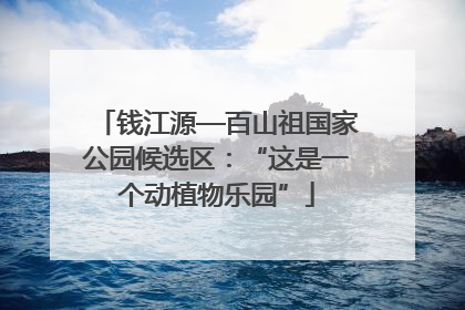 钱江源—百山祖国家公园候选区：“这是一个动植物乐园”