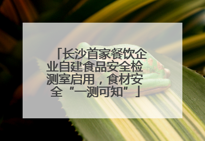 长沙首家餐饮企业自建食品安全检测室启用，食材安全“一测可知”