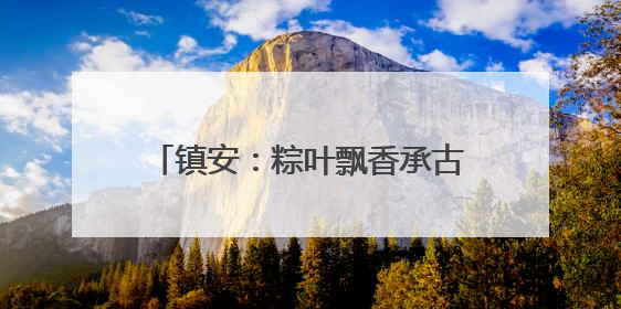 镇安：粽叶飘香承古韵 志愿传情暖端午