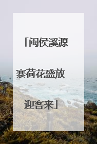 闽侯溪源寨荷花盛放迎客来