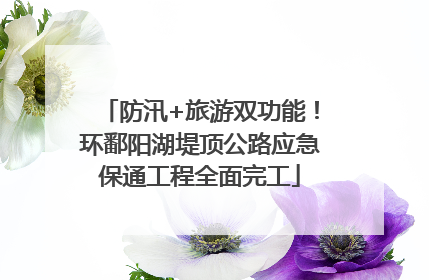 防汛+旅游双功能！环鄱阳湖堤顶公路应急保通工程全面完工