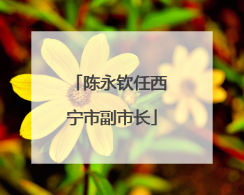 陈永钦任西宁市副市长