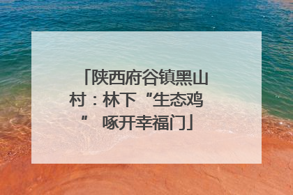 陕西府谷镇黑山村：林下“生态鸡” 啄开幸福门
