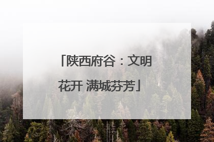 陕西府谷：文明花开 满城芬芳