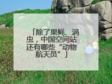 除了果蝇、涡虫，中国空间站还有哪些“动物航天员”
