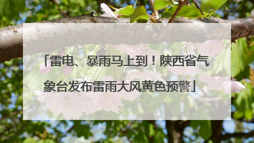 雷电、暴雨马上到！陕西省气象台发布雷雨大风黄色预警