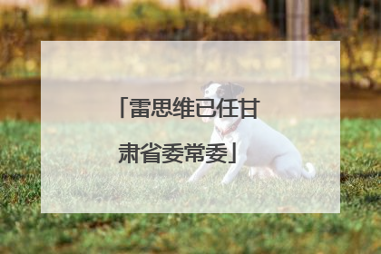 雷思维已任甘肃省委常委
