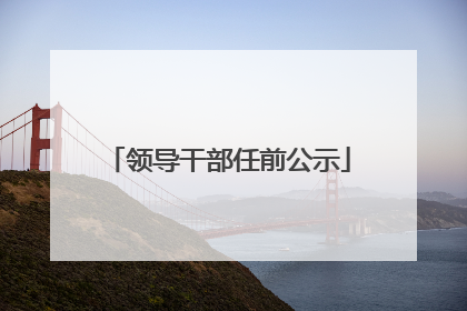 领导干部任前公示