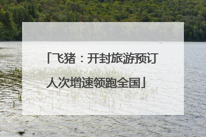 飞猪：开封旅游预订人次增速领跑全国