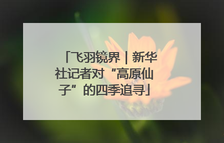 飞羽镜界｜新华社记者对“高原仙子”的四季追寻