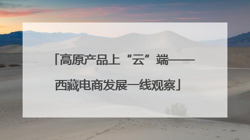 高原产品上“云”端——西藏电商发展一线观察