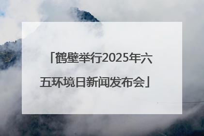 鹤壁举行2025年六五环境日新闻发布会