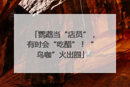 鹦鹉当“店员”，有时会“吃醋”！“鸟咖”火出圈