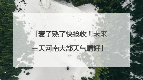 麦子熟了快抢收！未来三天河南大部天气晴好