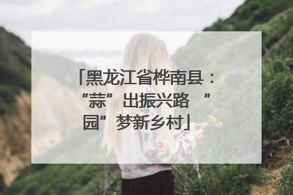 黑龙江省桦南县：“蒜”出振兴路 “园”梦新乡村