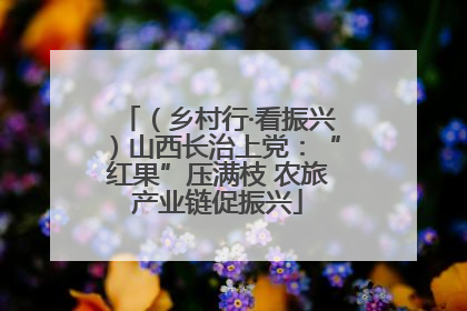 （乡村行·看振兴）山西长治上党：“红果”压满枝 农旅产业链促振兴