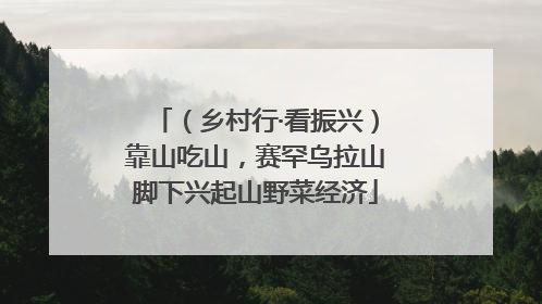 （乡村行·看振兴）靠山吃山，赛罕乌拉山脚下兴起山野菜经济