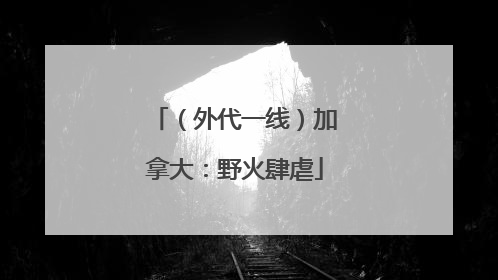 （外代一线）加拿大：野火肆虐