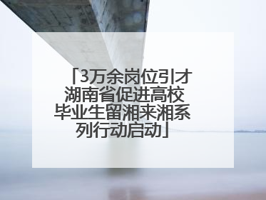 3万余岗位引才 湖南省促进高校毕业生留湘来湘系列行动启动