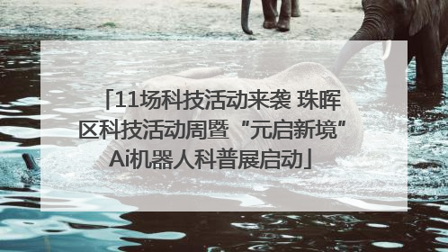 11场科技活动来袭 珠晖区科技活动周暨“元启新境”Ai机器人科普展启动