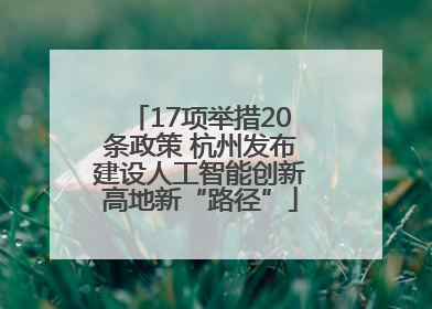 17项举措20条政策 杭州发布建设人工智能创新高地新“路径”